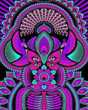 Trippy Mandalas NEW Paint By Numbers