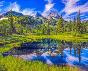 Mount Rainier National Park Paint By Numbers