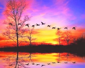 Flying Waterfowl Sunset Paint By Numbers