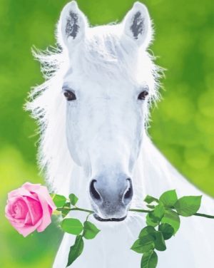 White Horse Holding Pink Rose NEW Paint By Numbers