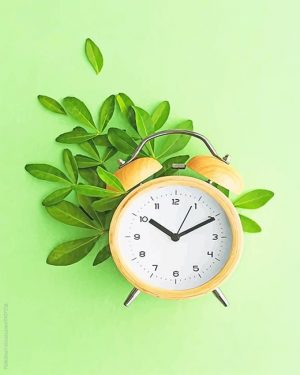 Yellow Clock Paint By Numbers