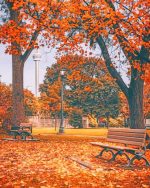 Autumn Park Paint By Numbers