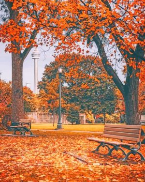 Autumn Park Paint By Numbers