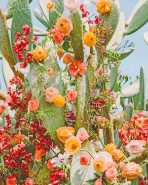 Aesthetic Cactus Flower NEW Paint By Numbers