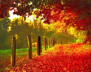 Fall Forest Paint By Numbers