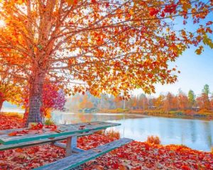 Amazing Autumn Nature NEW Paint By Numbers