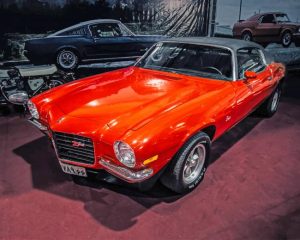 Classic Cars Paint By Numbers