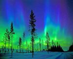 Aurora Trees Silhouette Paint By Numbers