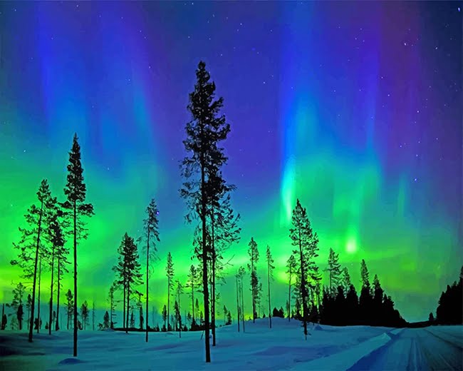 Aurora Trees Silhouette Paint By Numbers