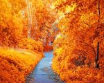 Autumn Forest Path Paint By Numbers