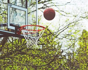 Ball Into The Hoop Paint By Numbers