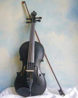 Black Violin Paint By Numbers