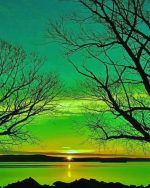 Dead Trees Silhouette Paint By Numbers