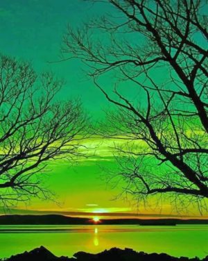 Dead Trees Silhouette Paint By Numbers