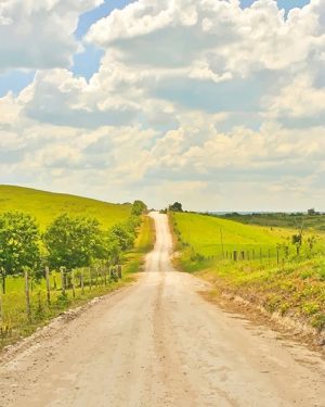 Countryside Road Paint By Numbers