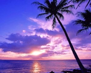 Tropical Island Paint By Numbers