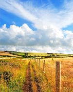 Countryside Field Paint By Numbers