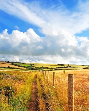 Countryside Field Paint By Numbers