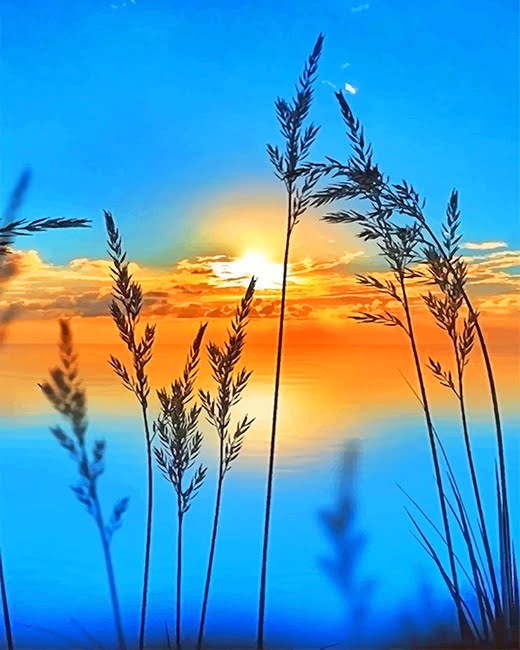 Sunrise View Paint By Numbers