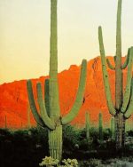 Saguaro Cactus Paint By Numbers