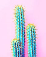 Blue Cactus Paint By Numbers