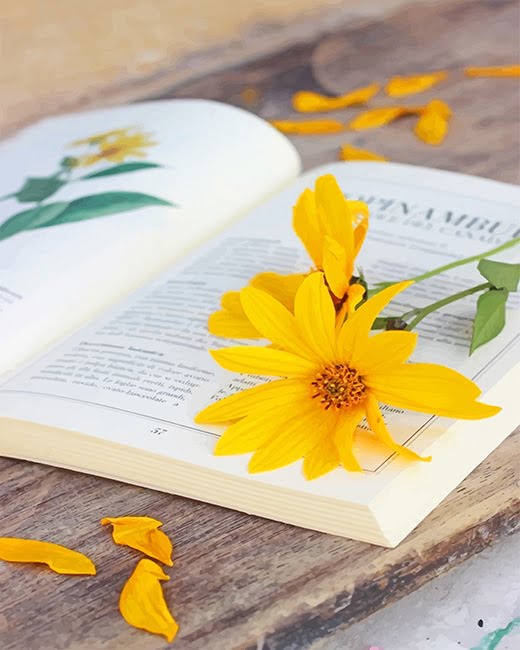 Yellow Flowers On Book Paint By Numbers