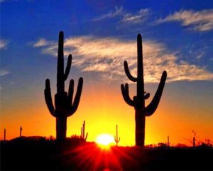 Sunset Cactus Silhouette Paint By Numbers