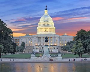 United States Capitol Paint By Numbers