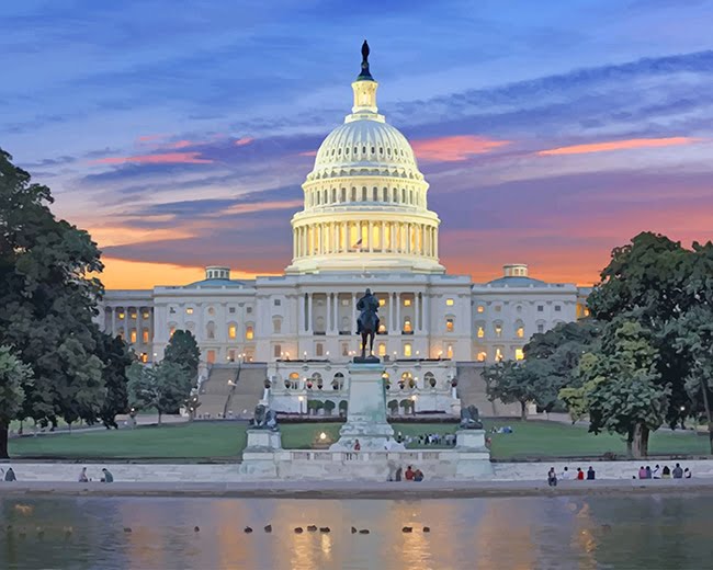 United States Capitol Paint By Numbers