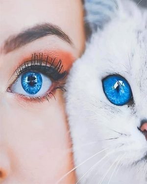 Girl And Cat Eyes Paint By Numbers