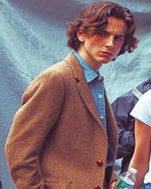 Classy Timothee Chalamet Paint By Numbers
