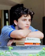 Handsome Timothee Chalamet Paint By Numbers