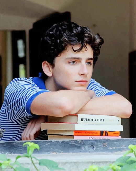 Handsome Timothee Chalamet Paint By Numbers