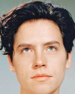 Cole Sprouse Paint By Numbers