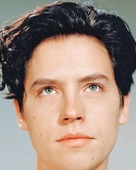 Cole Sprouse Paint By Numbers