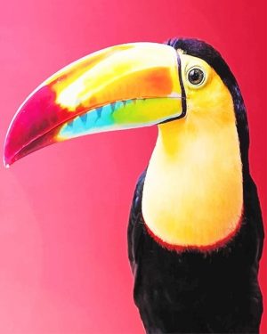 Toco Toucan Paint By Numbers