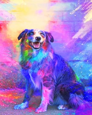 Colorful Dog Paint By Numbers