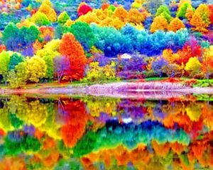 Colorful Trees Paint By Numbers