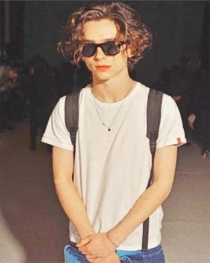 Timothee Chalamet Paint By Numbers