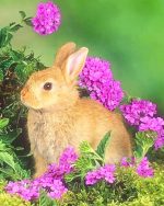 Blonde Bunny Paint By Numbers