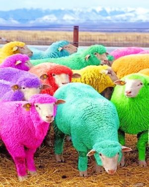 Colorful Sheep Paint By Numbers
