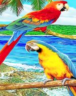 Tropical Parrots Paint By Numbers