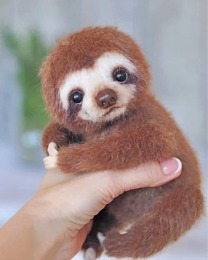 Baby Sloth Paint By Numbers