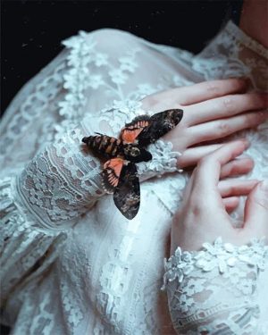 Dark And Moody Aesthetic NEW Paint By Numbers