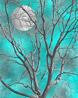 Dead Tree And Moon Paint By Numbers