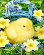 Easter Chick Paint By Numbers