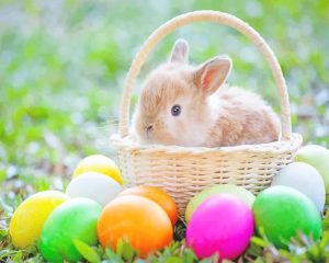 Easter Eggs And Bunny Paint By Numbers