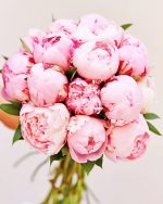 Pink Peony Bouquet Paint By Numbers