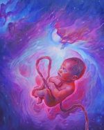 Galaxy Embryo NEW Paint By Numbers