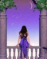 Girl Watching The Sky Paint By Numbers